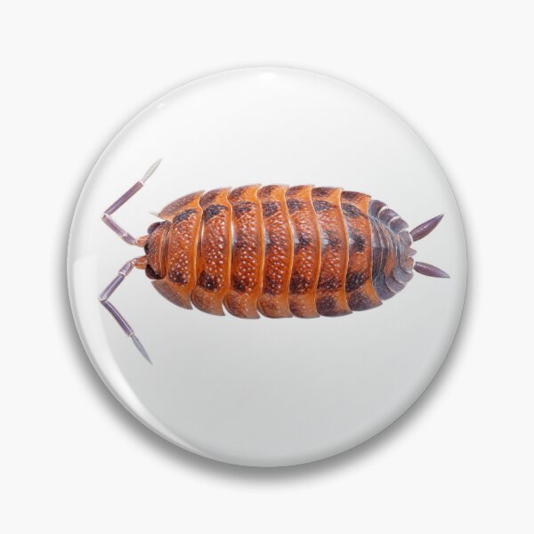 Item preview, Porcellio Scaber Lava Isopod Sticker designed and sold by cfulg.