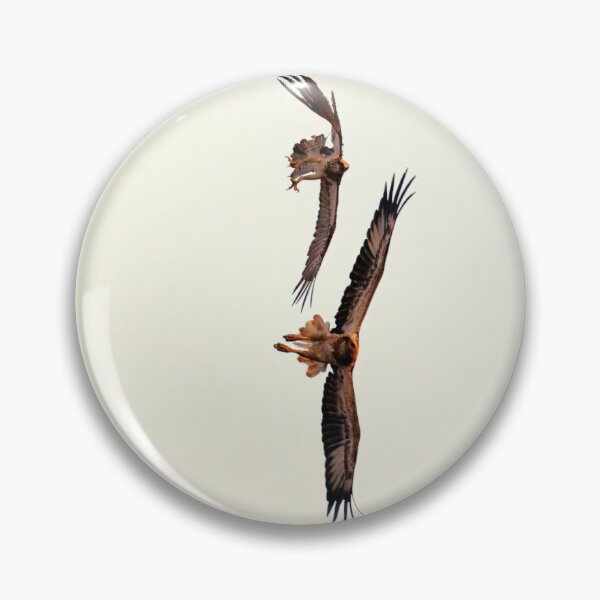 Item preview, Osprey and White-bellied Sea Eagle in flight designed and sold by BirdsAlive.