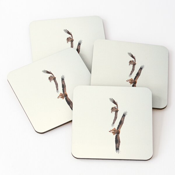 Item preview, Osprey and White-bellied Sea Eagle in flight designed and sold by BirdsAlive.