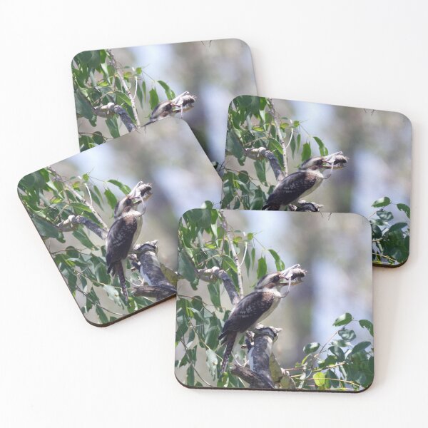 Item preview, Kookaburra playing with its food (mouse) designed and sold by BirdsAlive.