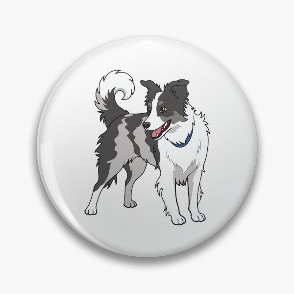 Item preview, Border Collie Blue Merle Cute Sticker designed and sold by Bluek9sDesign.