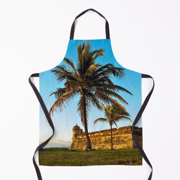 Item preview, Fort at Isla de Cabras, Puerto Rico designed and sold by Proyect_Baku.
