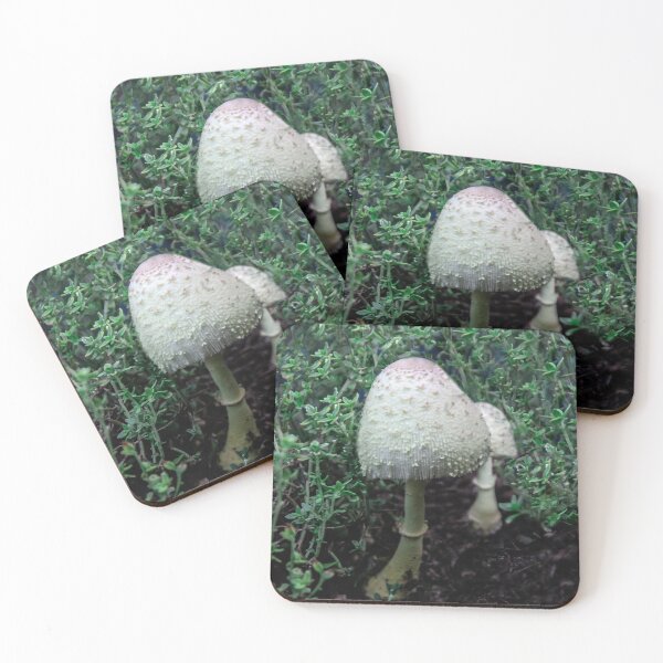 Item preview, Wild 'Shrooms designed and sold by heatherfriedman.