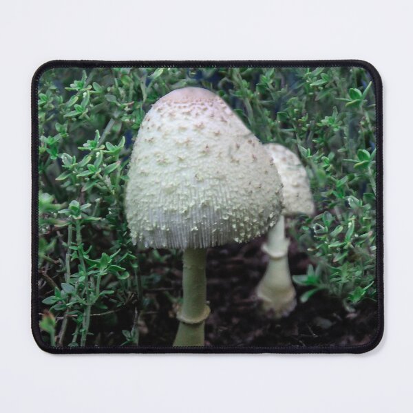 Item preview, Wild 'Shrooms designed and sold by heatherfriedman.