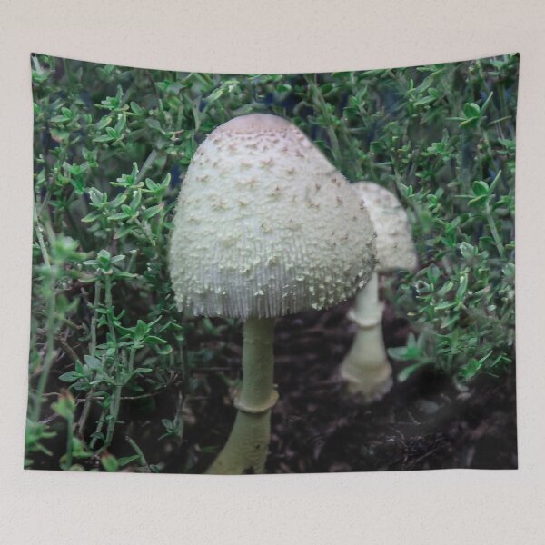 Item preview, Wild 'Shrooms designed and sold by heatherfriedman.