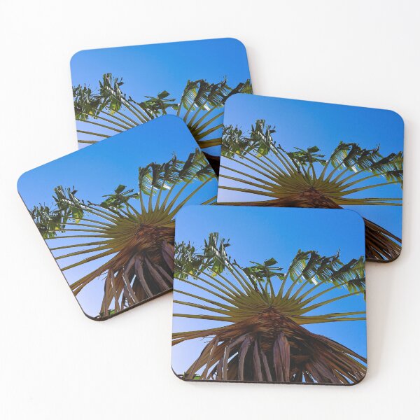 Item preview, Fan palm tree photo designed and sold by Proyect_Baku.