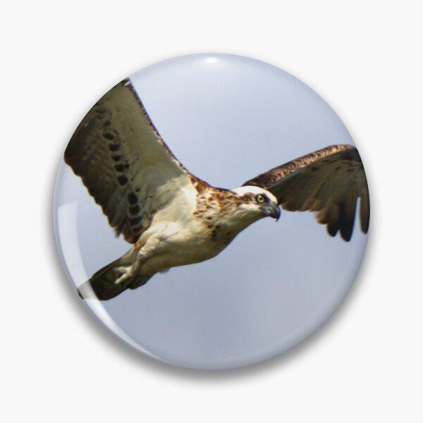 Item preview, Osprey in Flight designed and sold by BirdsAlive.