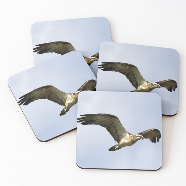 Item preview, Osprey in Flight designed and sold by BirdsAlive.