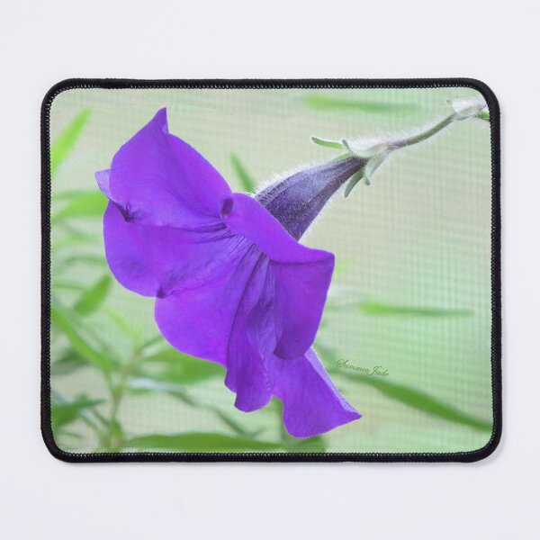 Item preview, A Purple Petunia on the Porch designed and sold by SummerJade.