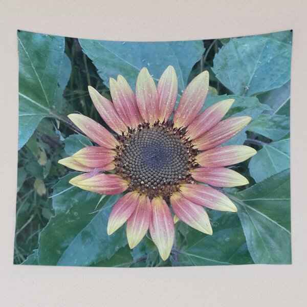 Item preview, Sun Fine designed and sold by Abeink1030.