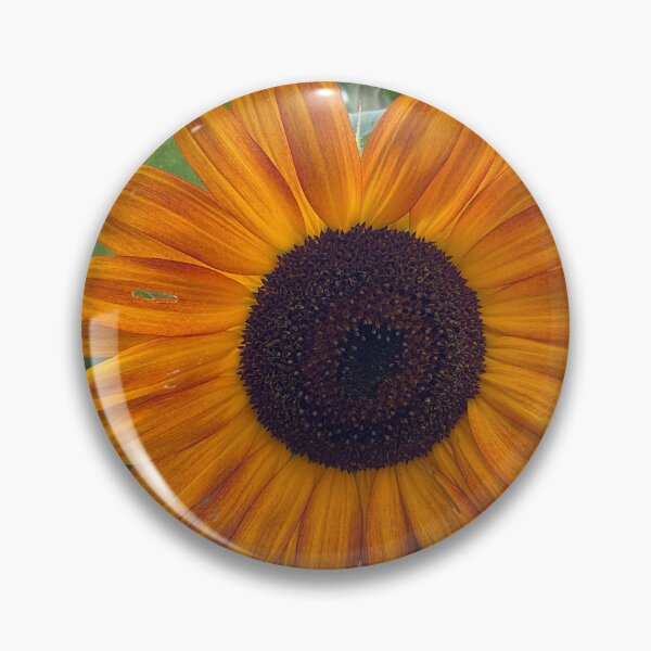 Item preview, Done in the Sun designed and sold by Abeink1030.