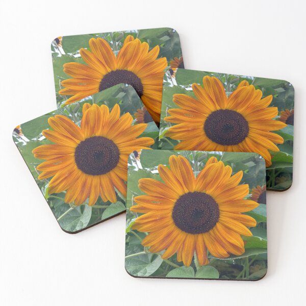Item preview, Done in the Sun designed and sold by Abeink1030.