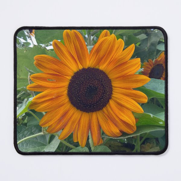 Item preview, Done in the Sun designed and sold by Abeink1030.