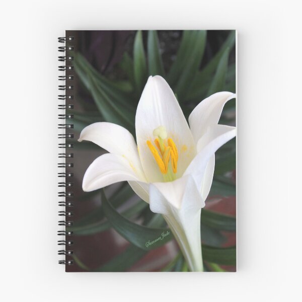Item preview, The Easter Lily ~ a Biblical Flower designed and sold by SummerJade.