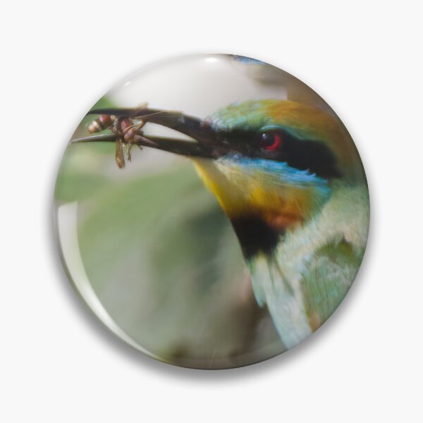 Item preview, Rainbow Bee-eater with food designed and sold by BirdsAlive.