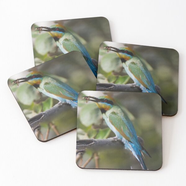 Item preview, Rainbow Bee-eater with food designed and sold by BirdsAlive.