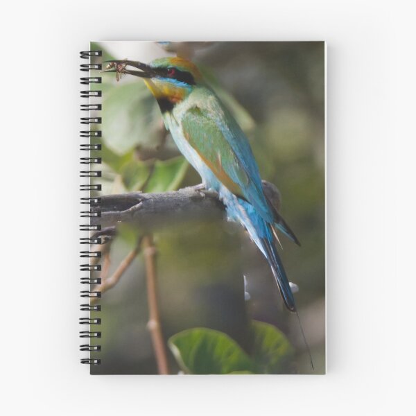 Item preview, Rainbow Bee-eater with food designed and sold by BirdsAlive.