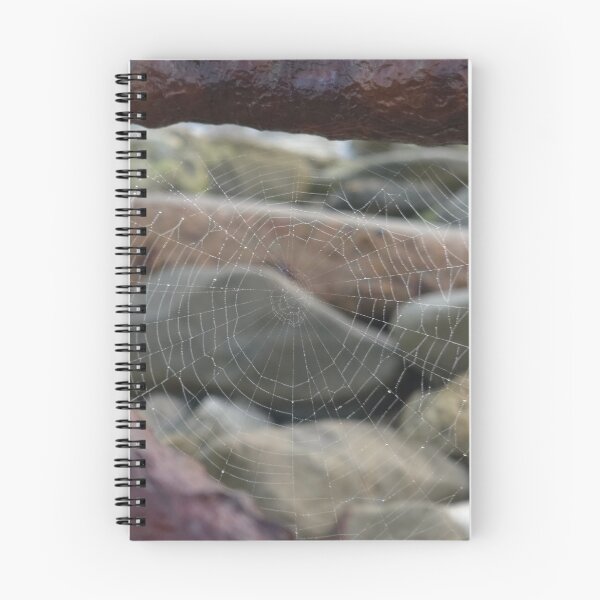 Item preview, Dew-Laced Spiderweb designed and sold by CoastalPetal.