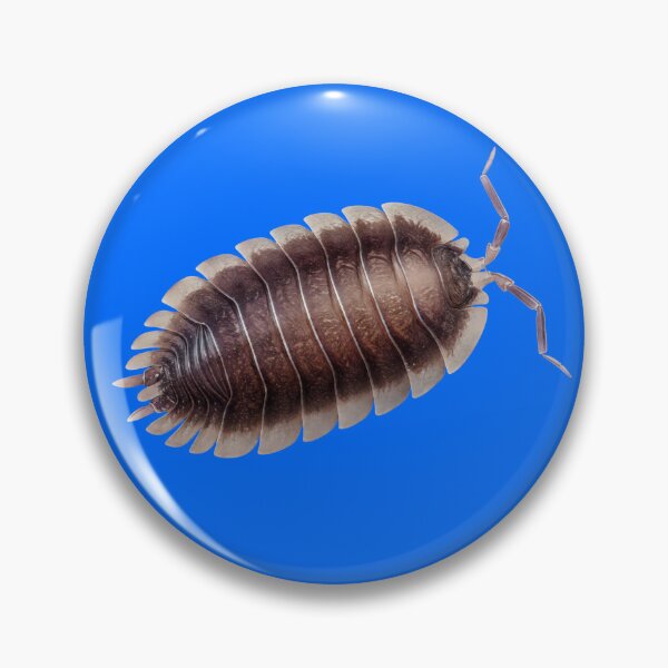Item preview, Porcellio Werneri Isopod Sticker designed and sold by cfulg.