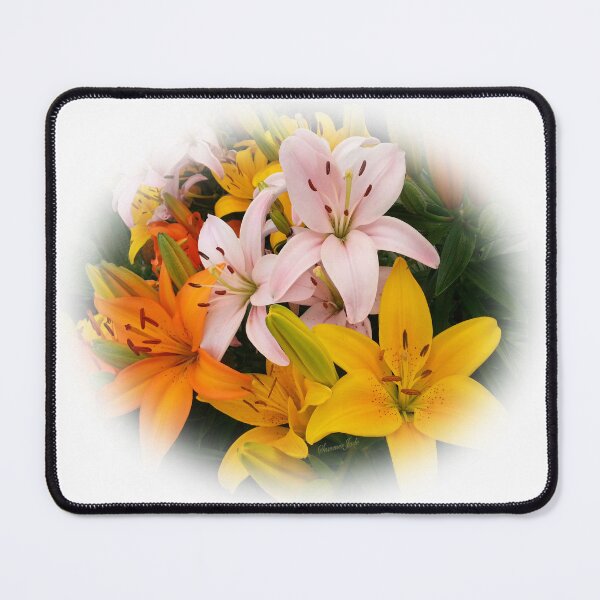 Item preview, Lilies ~ Ready for Planting designed and sold by SummerJade.