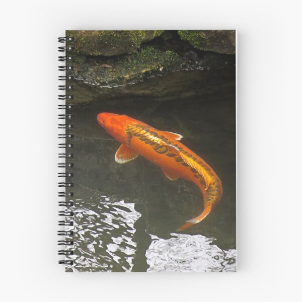Item preview, Beautiful Koi ~ Trying to Hide designed and sold by SummerJade.