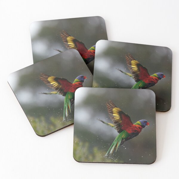 Item preview, Rainbow Lorikeet just finished a bath designed and sold by BirdsAlive.