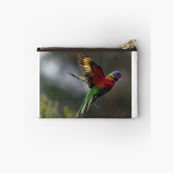 Item preview, Rainbow Lorikeet just finished a bath designed and sold by BirdsAlive.