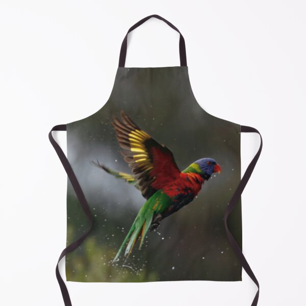 Item preview, Rainbow Lorikeet just finished a bath designed and sold by BirdsAlive.