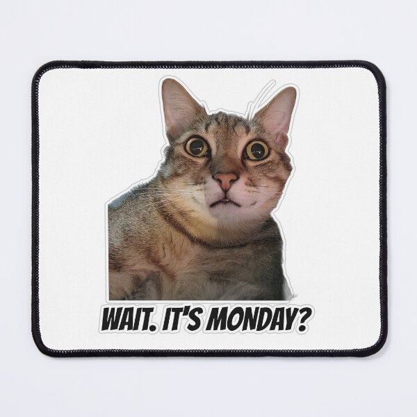Item preview, Wait It's Monday? Shocked Cat Monday Mood designed and sold by MoodyCoCo.