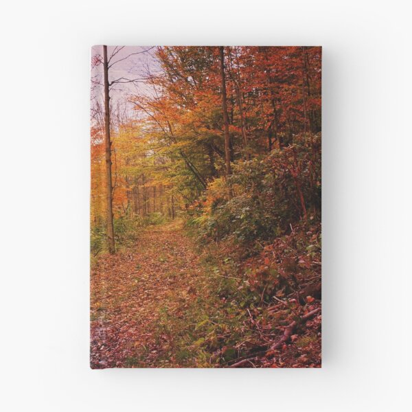Item preview, Somewhere in Time ~ A Logging Trail designed and sold by SummerJade.