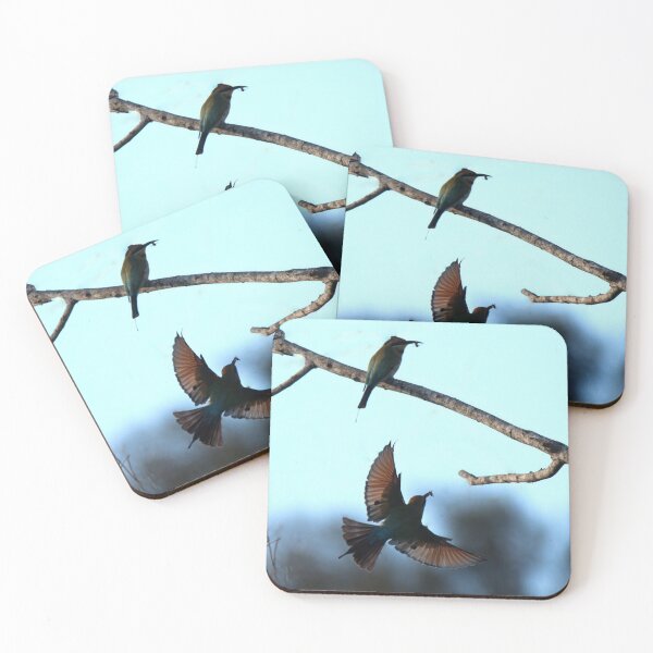 Item preview, Rainbow bee-eaters catching food designed and sold by BirdsAlive.