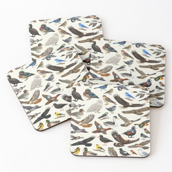 Item preview, Native Birds of Washington Retro Identification Chart designed and sold by kakarikihill.