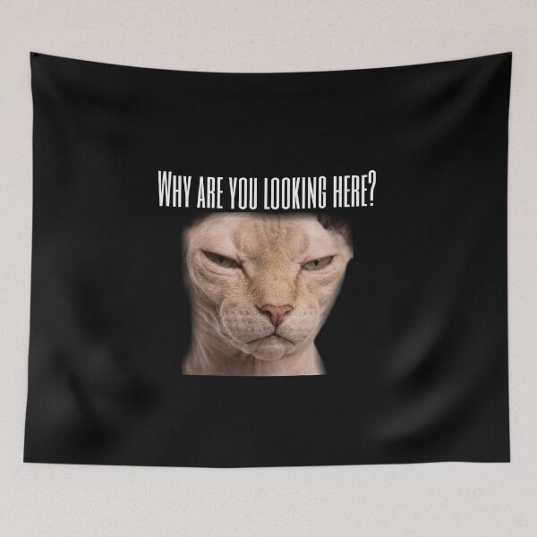 Item preview, Angry Sphynx Cat Meme designed and sold by M1-brand.