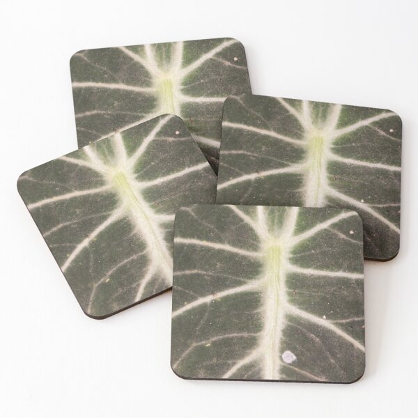 Item preview, Closeup of Alocasia Black Velvet designed and sold by ROSE ANN BANILAR.