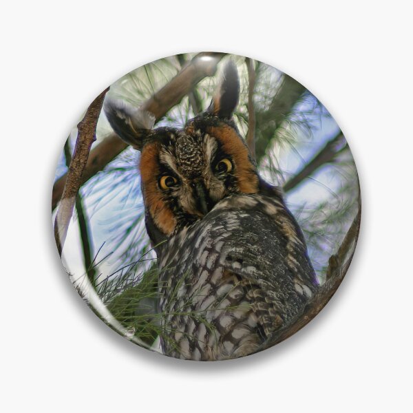 Item preview, Long Eared Owl designed and sold by CarolM.