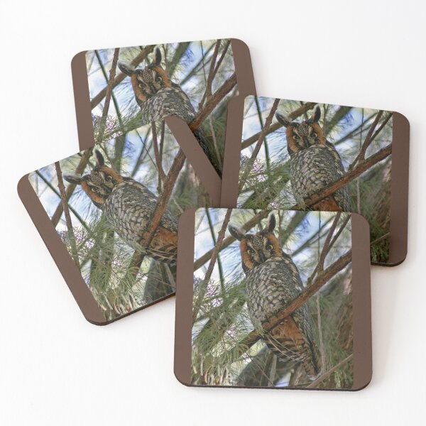 Item preview, Long Eared Owl designed and sold by CarolM.