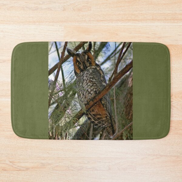 Item preview, Long Eared Owl designed and sold by CarolM.