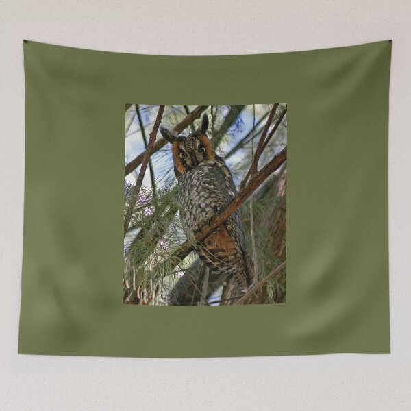 Item preview, Long Eared Owl designed and sold by CarolM.