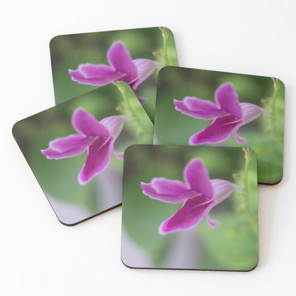 Item preview, Asystasia gangetica or Asystasia intrusa designed and sold by ROSE ANN BANILAR.