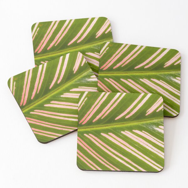 Item preview, Closer to Pinstripe Calathea designed and sold by ROSE ANN BANILAR.