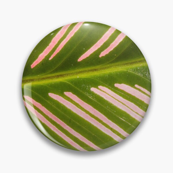 Item preview, Closer to Pinstripe Calathea designed and sold by ROSE ANN BANILAR.