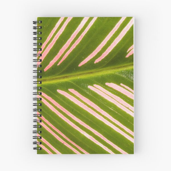 Item preview, Closer to Pinstripe Calathea designed and sold by ROSE ANN BANILAR.