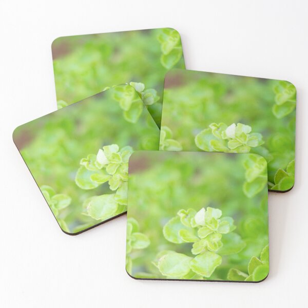 Item preview, Golden Oregano designed and sold by ROSE ANN BANILAR.