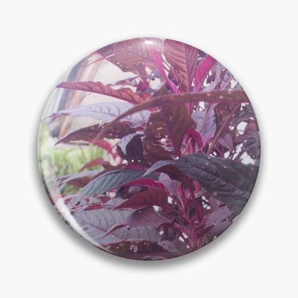Item preview, red spinach or Chinese spinach designed and sold by ROSE ANN BANILAR.