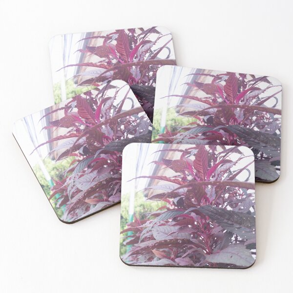 Item preview, red spinach or Chinese spinach designed and sold by ROSE ANN BANILAR.
