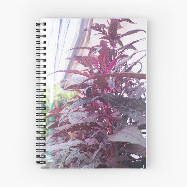Item preview, red spinach or Chinese spinach designed and sold by ROSE ANN BANILAR.