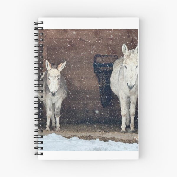 Item preview, Bee Meadow donkeys Simon and Saul Women Men designed and sold by PhillippDiederi.