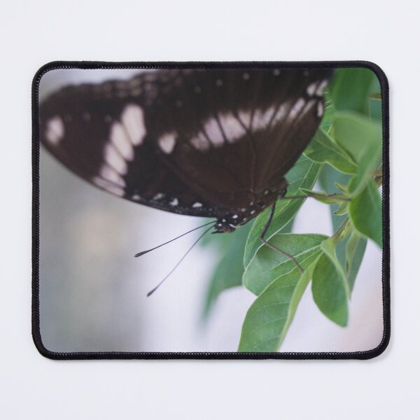 Item preview, Blue Moon Butterfly designed and sold by ROSE ANN BANILAR.