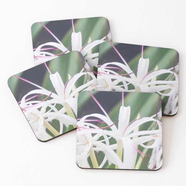 Item preview, white spider lilies designed and sold by ROSE ANN BANILAR.