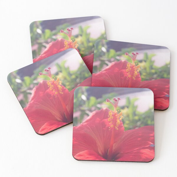 Item preview, Chinese Hibiscus designed and sold by ROSE ANN BANILAR.